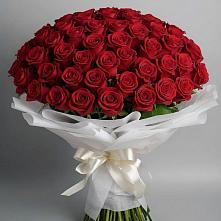 Букет 101 Красная роза Блэк Мэджик в Дубровский