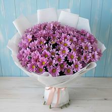 Букет цветов из:  Хризантемы в Дубровский