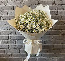 Букет цветов из:  Ромашки #REPLACE_PRED# Дубровский