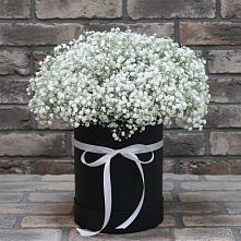 Цветочная композиция из Гипсофила в шляпной коробке в Дубровский